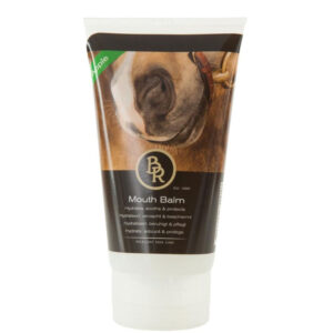 BR Mondbalsem Appel 150 ml .