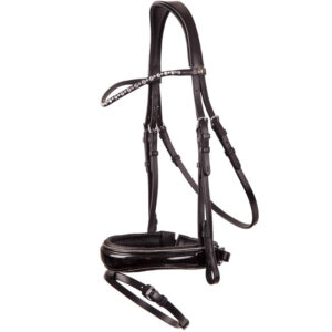 BR Hoofdstel Bristol Zwart