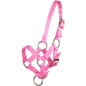 QHP Veulenhalster Roze