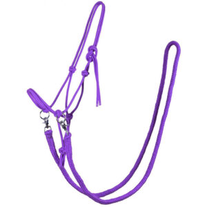 QHP Rope Halter With Rein Passion Flower