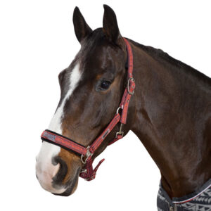 Eskadron Halster Doorngesp Next Generation Grenadine Ethno