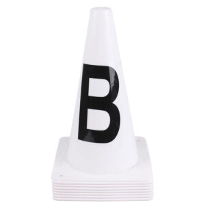 QHP Dressage Pawns White