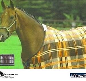 Equest Dralon Deken Purple Light Purple Light