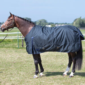 Harry's Horse Deken Thor 200 Grams Ebony/Navy