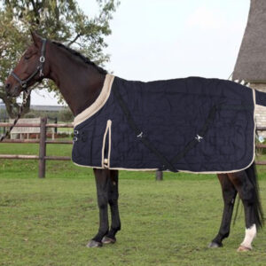 Euro-Star Staldeken 400 Grams Navy/Sesame/Ivory