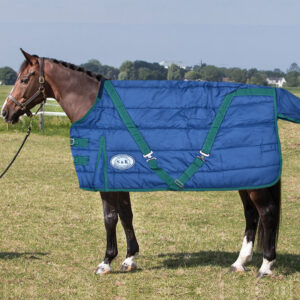 S&K Staldeken 150 Grams Blauw/Groen