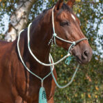 Ice Green set QHP Liberty lifestyle