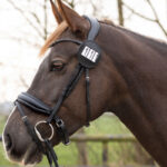 Zwart QHP startnummer Modeste Rond lifestyle afbeelding