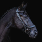 Zijaanzicht lifestyle afbeelding Hoofdstel PresTeq FaySport BlackPearl