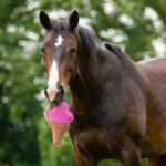 Lifestyle foto Paardenspeelgoed QHP Snackcounter Ice Cream