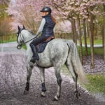 Lifestyle afbeelding Bodywarmer C2E Burbank Navy