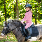 Sfeerfoto Rijlaars QHP Lucky Start Junior