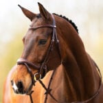 Lifestyle afbeelding Hoofdstel BR Horley Oak/Zilver
