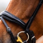 Neusriem Hoofdstel BR Hamilton Zwart/Zilver