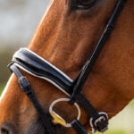 Neusriem Hoofdstel BR Hailsham Zwart/Wit