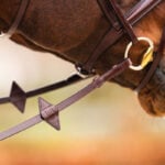 Lifestyle foto Web Teugels BR Met Stops Oak/Zilver