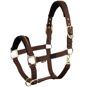 Halster BR Lieve Martini Brown