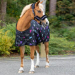 Vooraanzicht Winterdeken QHP Isalyn Unicorn Dream