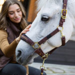 Lifestyle foto Halster BR Lieve Martini Brown