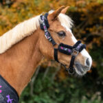 Lifestyle foto Halsterset QHP Isalyn Unicorn Dream