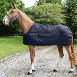 Bucas Liner 100 Grams Navy