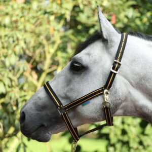 Bucas Halster Dublin Zwart/Goud