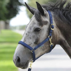 Bucas Halster Dublin Navy/Navy