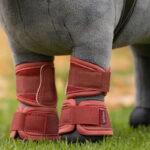 Lifestyle foto Toy Pony Springschoenen LeMieux Russet