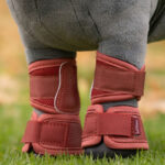 Set foto Toy Pony Mesh Brushing Boots LeMieux Russet