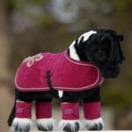 Lifestyle foto Toy Pony Rug LeMieux Blackberry