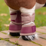 Set foto Toy Pony Mesh Brushing Boots LeMieux Blackberry