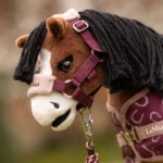 Lifestyle foto Toy Pony Halsterset LeMieux Vogue Blackberry