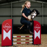 Actiefoto Hobby Horse Hindernis LeMieux Chili Red