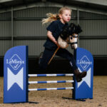 Actiefoto Hobby Horse Hindernis LeMieux Benetton Blue