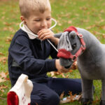 Speelfoto Toy Pony Dierenarts Set