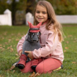 Sfeerfoto Toy Pony Fly Hood LeMieux Spiced Earth
