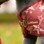 Detail borstsluiting Toy Pony Printed Ripstop Rug LeMieux Spiced Earth