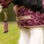 Detail borstsluiting Toy Pony Printed Ripstop Rug LeMieux Blackberry